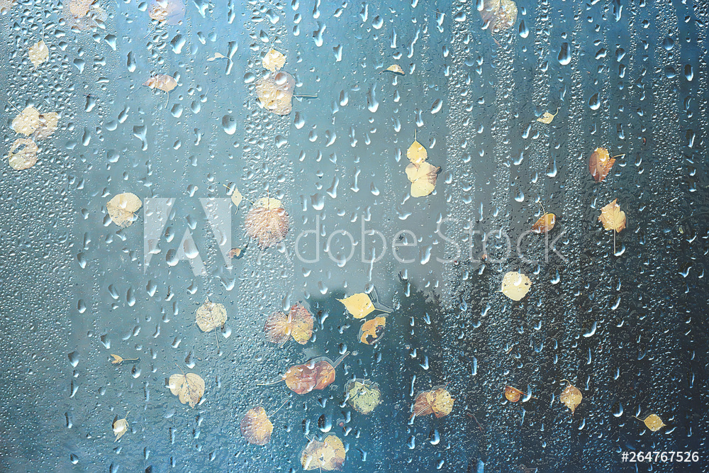 明日10月17日芝生ヨガ【雨予報の為中止】します。